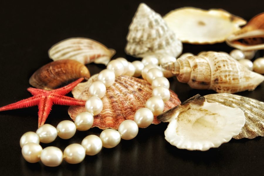Perlen – Juwelen der Meere